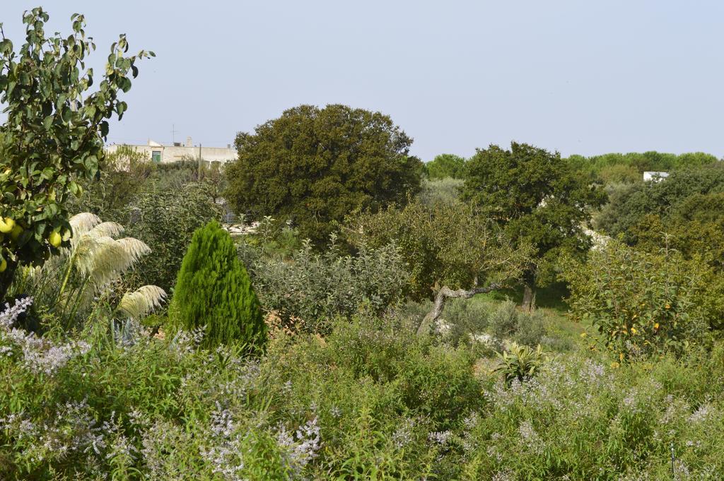 Bed & Breakfast Villa Lavanda Noci Chambre photo