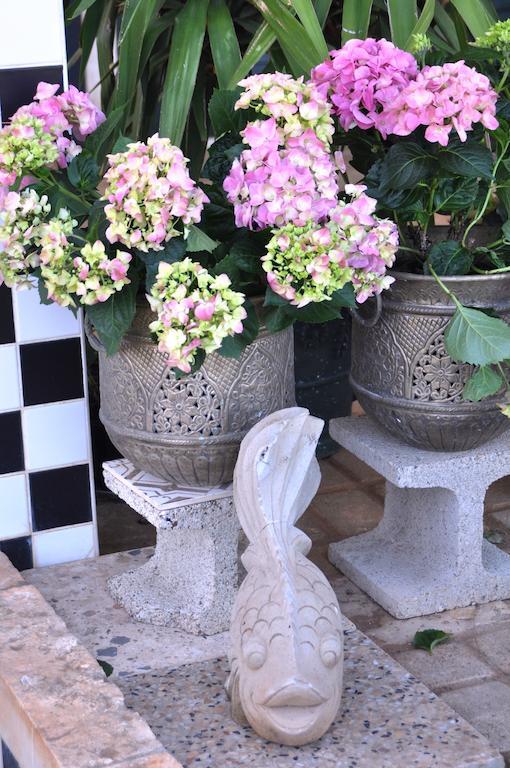 Bed & Breakfast Villa Lavanda Noci Extérieur photo
