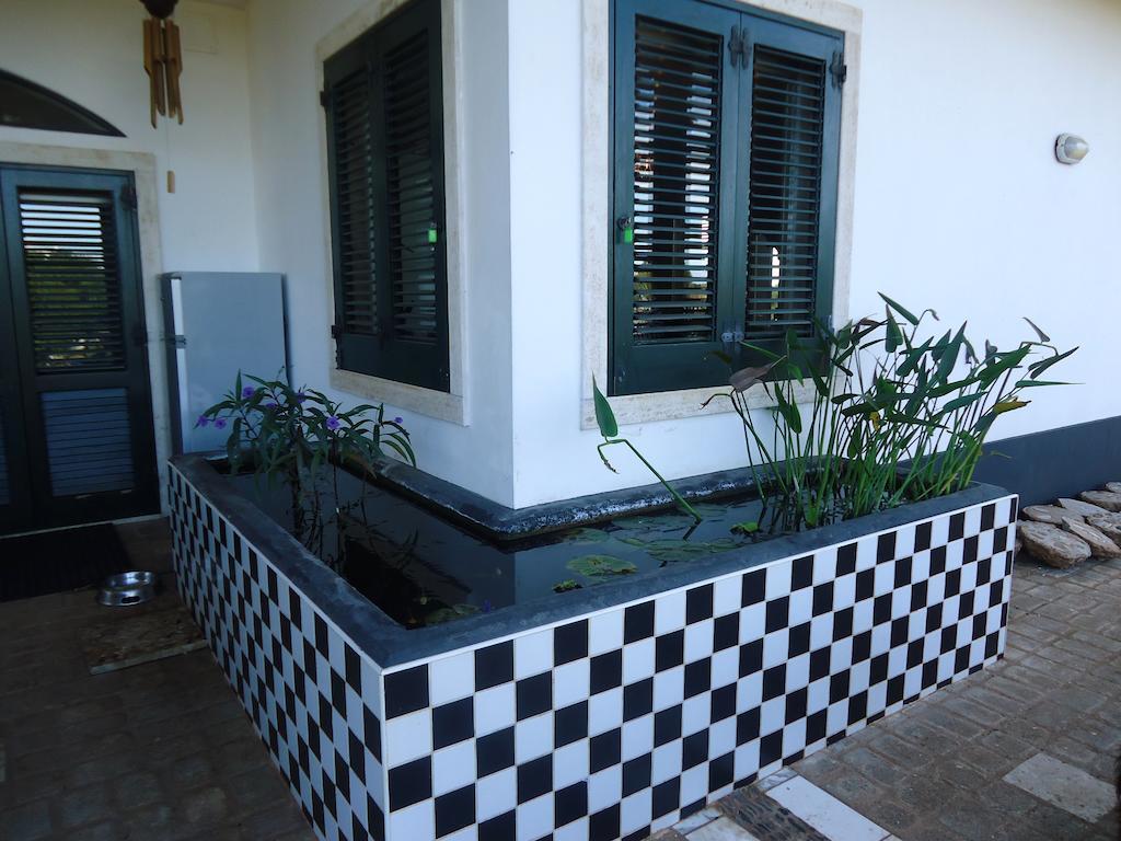 Bed & Breakfast Villa Lavanda Noci Extérieur photo