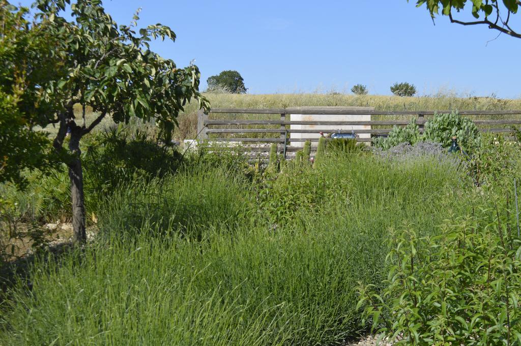 Bed & Breakfast Villa Lavanda Noci Extérieur photo